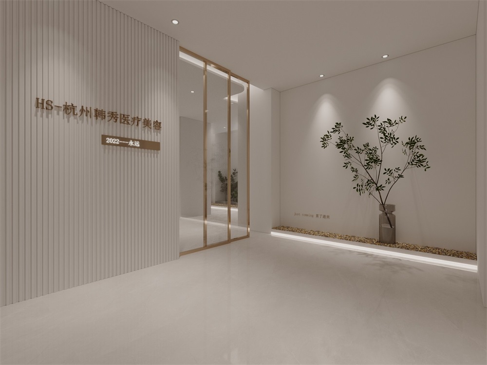 杭州簡(jiǎn)約醫(yī)療美容機(jī)構(gòu)裝修設(shè)計(jì)案例效果圖