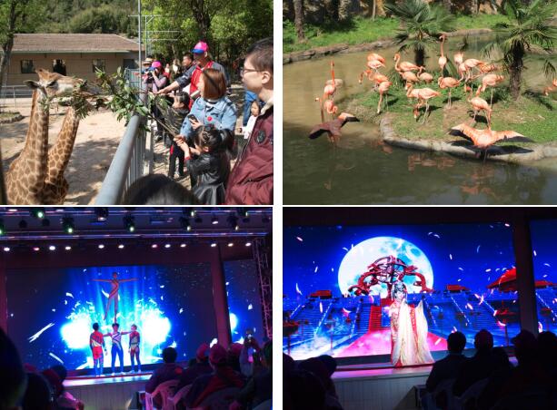 1523174419898116.jpg 圖片7.jpg